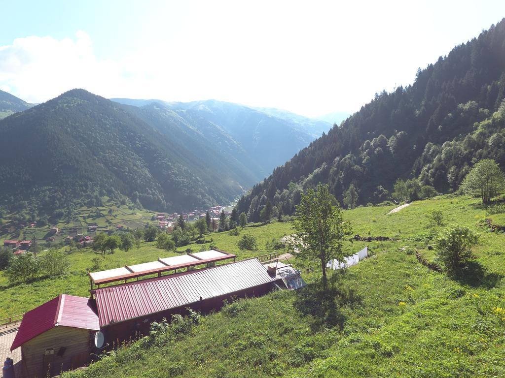 Ozturk Apart Apartment Uzungol Exterior photo